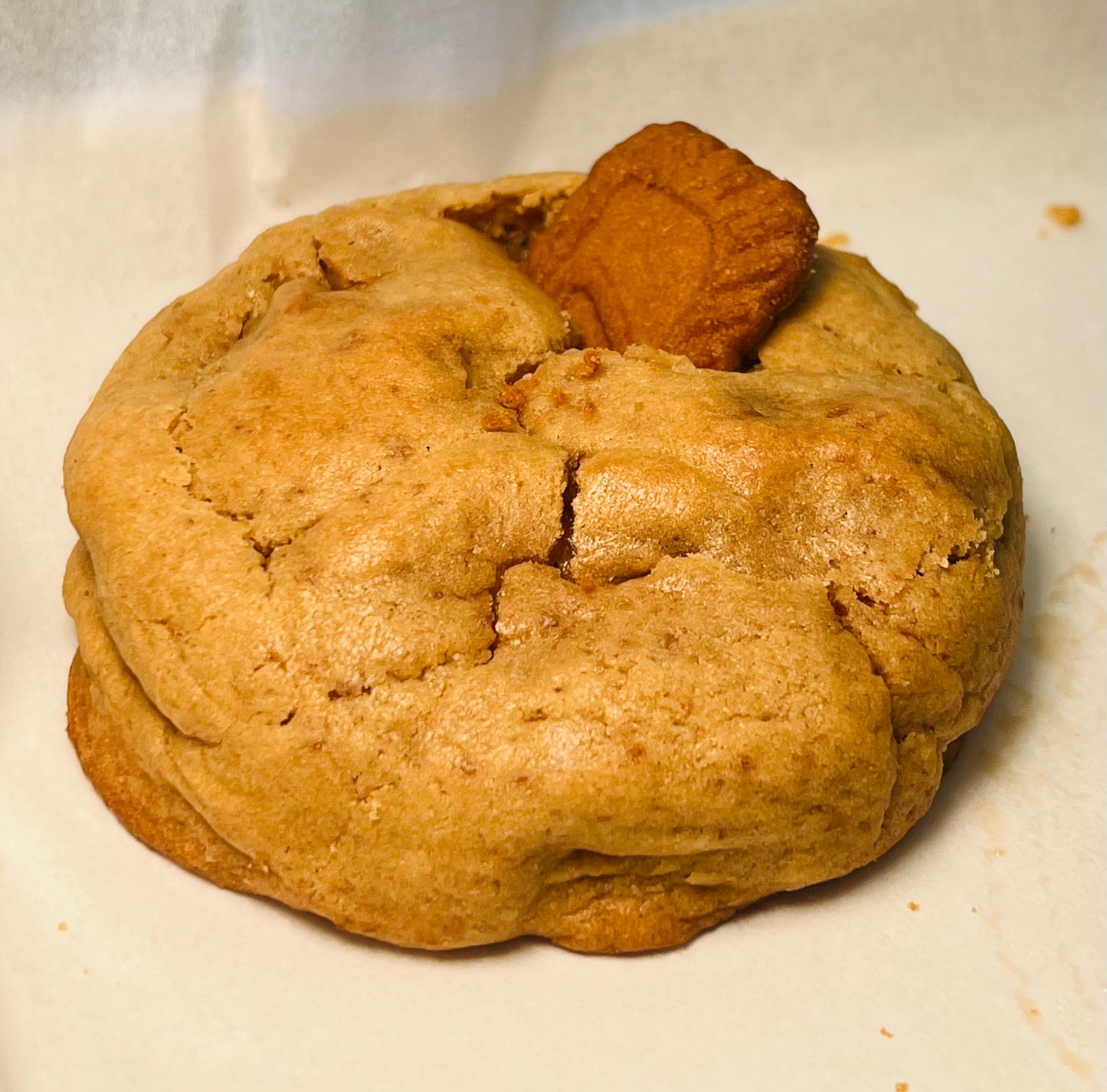 Bifcoff Cookie