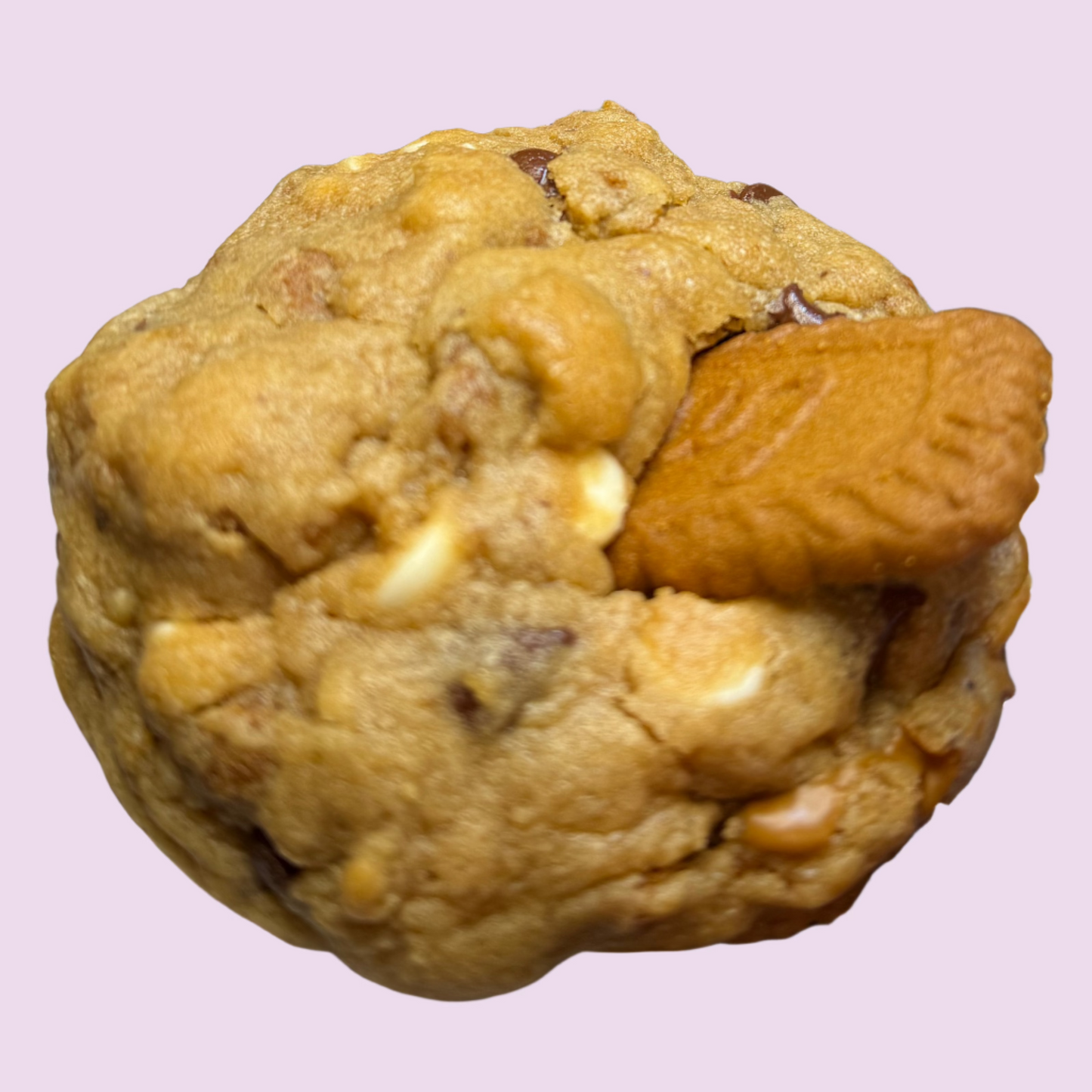 Bifcoff Cookie